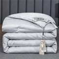Axyaa Mulberry Silk Quilt Luxury Comforter All Season Double King Queen Duvet