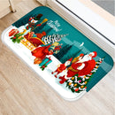Axyaa Home Decor Entry Mat 40x60 50x80cm