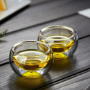 Axyaa Glass Teacup Tea Infuser Set - Heat Resistant Drinkware Mug