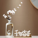 Axyaa Chinese Style TV Cabinets & Ceramic Vases: High-End Living Room & Foyer Furniture