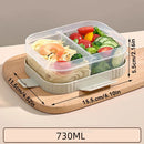 Axyaa Portable Clear Compartment Lunch Box for Students and Kids