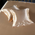 Axyaa Silk Satin Pillowcase Square Throw Pillow Cover 50x50cm
