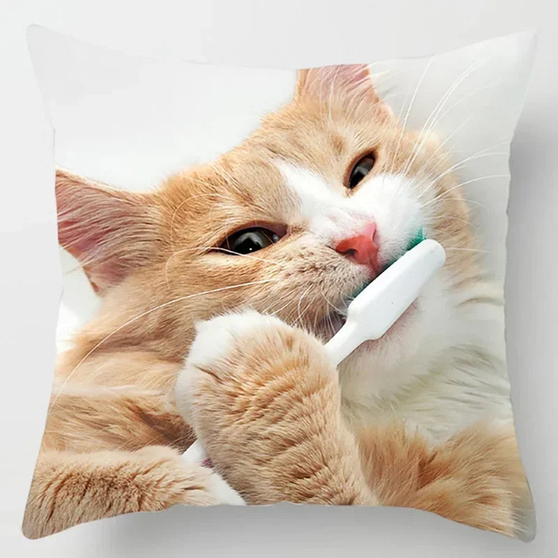 Axyaa Cat Collection Pillowcase - Home & Office Decor Square Pillowcase