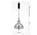 Axyaa Nordic Smoke Gray Glass LED Pendant Light, 12W, Minimalist Design