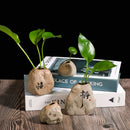 Axyaa Zen Stone Ceramic Vase Planter for Living Room Table & Pothos