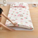 Axyaa College Student Cotton Velvet Mattress Cover, Dormitory Mattress Cover