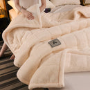 Axyaa Winter Velvet Blanket | Cozy & Weighted | Single/Double Bed Size