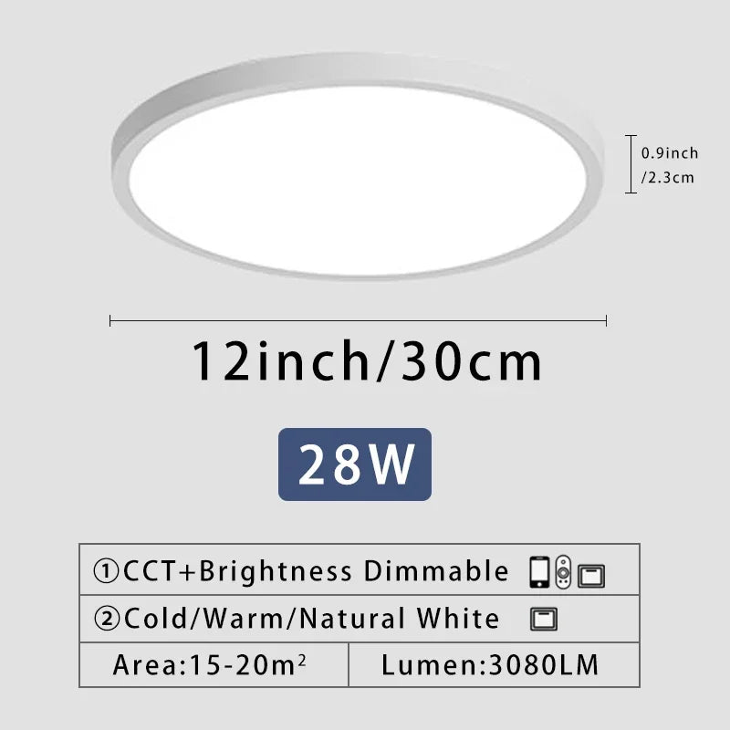 Axyaa 20" LED Smart Ceiling Lamp with Remote Control for Bedroom and Living Room
