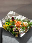 Axyaa Molecular Fusion Square Plate for Creative Dining
