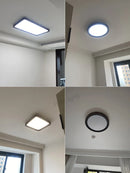 Axyaa Vintage Walnut Wood Ceiling Lamp for Living Room, Study & Bedroom