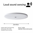 Axyaa 220V LED Ceiling Lamp motion sensor 12W 18W Indoor Lighting for Entrance Balcony Corridor.