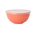 Axyaa 4pcs Bowl Set with Lid & Bento Box for Camping, Picnic, Kitchen Essentials