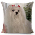 Maltese Dog Pillow Cover by Axyaa - Decorative Cushion Case for Home and Car
