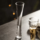 Axyaa Glitter Champagne Flutes & Bubble Wine Cups for Bar Parties & Weddings