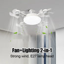 Ceiling Fan Light Electric with High Wind Power, Silent Operation for Kitchen, Restaurant Decor - Axyaa