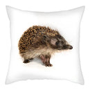 Hedgehog Print Pillow Cover for Home Sofa Decor 45X45cm - Axyaa