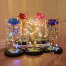 Axyaa Eternal Rose Night Light - LED Beauty and the Beast Magic Flower Lamp
