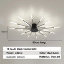 Axyaa Firework Decor LED Ceiling Lights for Living Room Bedroom Kitchen, Nordic Indoor Home Fixture