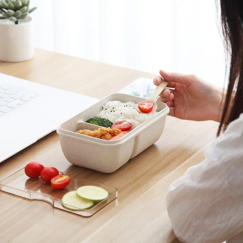 Axyaa Wheat Straw Lunch Box with Lid - Portable Bento Box for Students