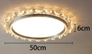 Axyaa Modern Ceiling Lamp LED Lights for Indoor Living Room Decoration