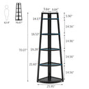 Axyaa 5 Tier Corner Shelf Bookcase | Modern Industrial Ladder Plant Stand