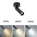 Axyaa 3W/5W Narrow Beam Ceiling Spotlights: Ideal for Jewelry, Museum, Gallery & Picture Lighting