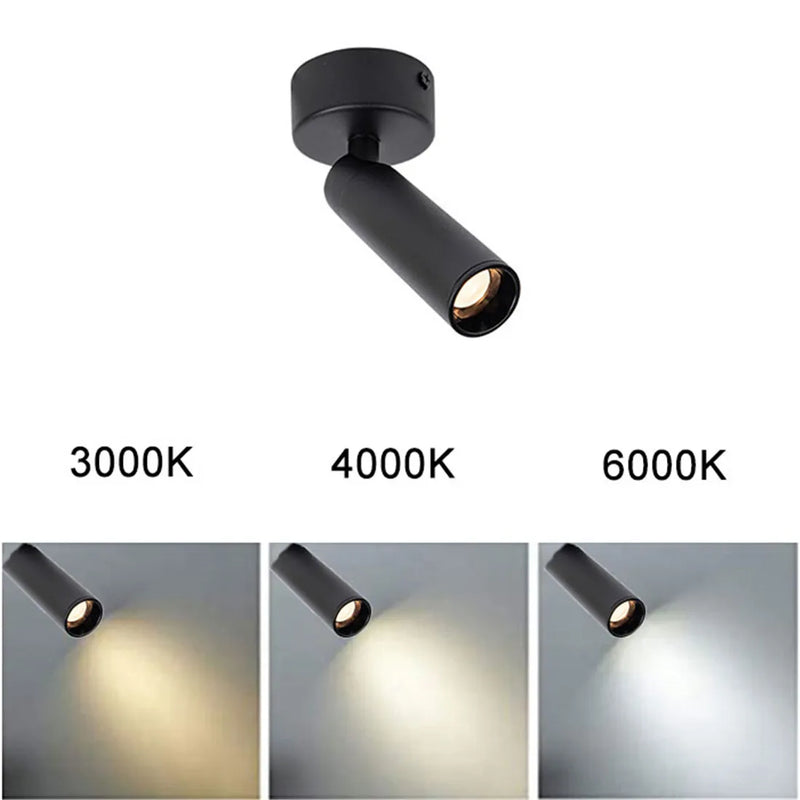 Axyaa 3W/5W Narrow Beam Ceiling Spotlights: Ideal for Jewelry, Museum, Gallery & Picture Lighting