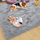 Axyaa Soft Silky Carpet for Living Room Sofa, Kids Bedroom Decor Plush Shaggy Area Rug