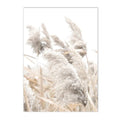 Axyaa Beige Dandelion Bunny Tail Grass Canvas Art Print Nordic Flower Poster
