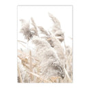 Axyaa Beige Dandelion Bunny Tail Grass Canvas Art Print Nordic Flower Poster