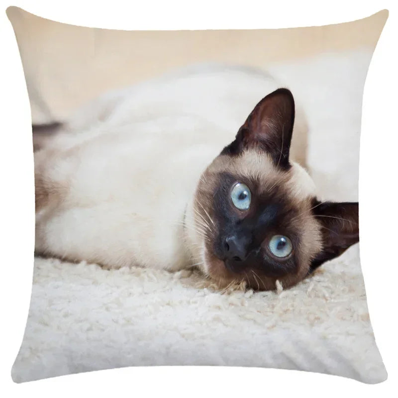 Axyaa Black Cat Bubble Pillow Cases - Premium Animal Cushion Cover for Home Decor