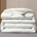 Axyaa Mulberry Silk Comforter, Winter Warm Silk Duvet Quilt Blanket