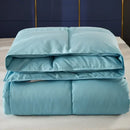 Axyaa Winter Down Comforter - Double/Single Size Warm Quilted Bedding
