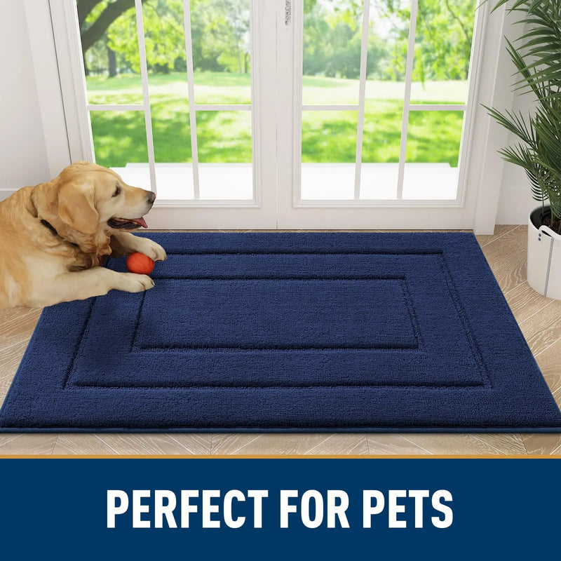 Axyaa Low-Profile Indoor Doormat, Non-Slip Washable Floor Mat for Entryway