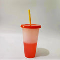 Axyaa Color Changing Cups - 710ml Reusable Tumblers with Lids and Straws