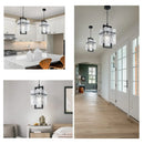 Axyaa Nordic Luxury Glass LED Pendant Chandelier for Modern Living Room & Restaurant