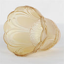 Axyaa Clear Cognac Glass Shade Replacement for Ceiling Fan and Wall Fixtures