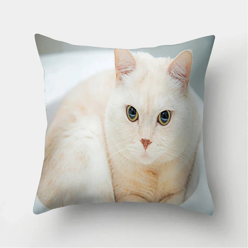 Cute Cat Print Cushion Cover for Sofa Decor by Axyaa