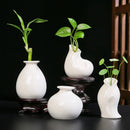 Axyaa Luxury Ceramic Vase Living Room Decor
