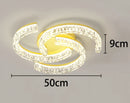 Axyaa Modern Ceiling Lights for Living Room LED Indoor Lighting
