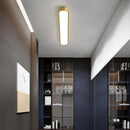 Axyaa Nordic LED Ceiling Lamp for Home Indoor Lighting in Living Room and Bedroom