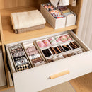 Axyaa Clothes Drawer Organizer Storage Box for Underwear, Socks, Bras, and T-Shirts