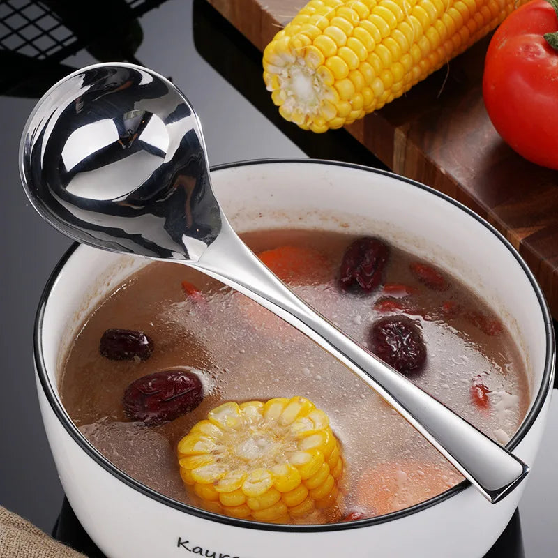 Axyaa Stainless Steel Long Handle Skimmer Spoon for Kitchen Colander and Sifter
