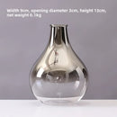 Axyaa Silver Gradient Glass Vase for Jewelry and Plants