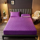 Axyaa Antibacterial Waterproof Mattress Protector - Padded, Non-Slip, Urine-Proof Cover