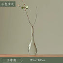 Axyaa Transparent Glass Zen Vase for Living Room Decor and Hydroponic Plants