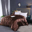 Axyaa Mulberry Silk Duvet Cover Queen Skin Beauty Comforter Cover Bed Blanket