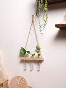 Axyaa Air Plants Wall Hanging Floating Shelf Boho Art Home Decor