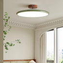 Axyaa Nordic Ceiling Lamp Downlight for Living Room Bedroom Official Website