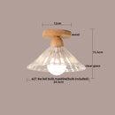 Axyaa Clear Glass LED Ceiling Lights Modern Ceiling Lamp Home Lighting